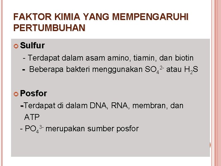 FAKTOR KIMIA YANG MEMPENGARUHI PERTUMBUHAN Sulfur - Terdapat dalam asam amino, tiamin, dan biotin