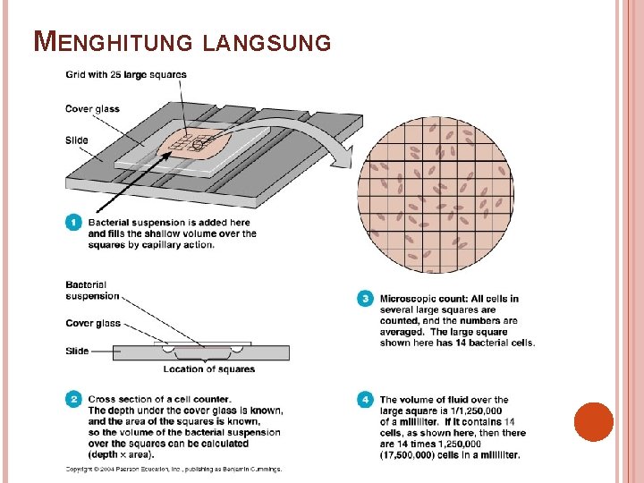 MENGHITUNG LANGSUNG 