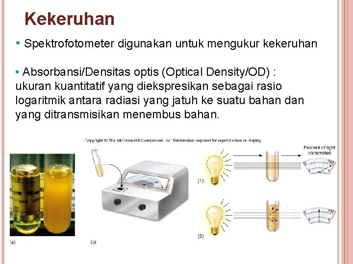 Kekeruhan • Spektrofotometer digunakan untuk mengukur kekeruhan • Absorbansi/Densitas optis (Optical Density/OD) : ukuran