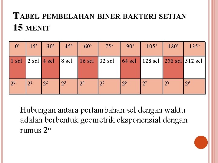 TABEL PEMBELAHAN BINER BAKTERI SETIAN 15 MENIT 0’ 15’ 30’ 45’ 1 sel 2