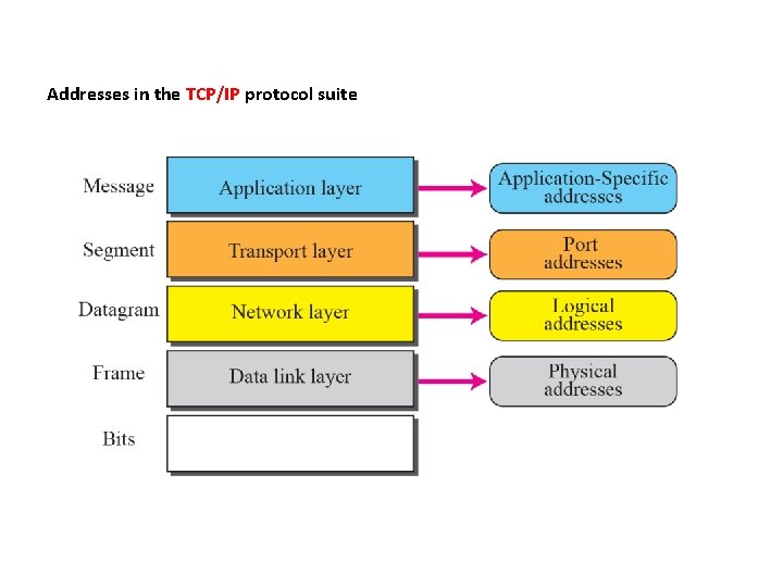 Addresses in the TCP/IP protocol suite 