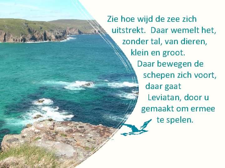 Zie hoe wijd de zee zich uitstrekt. Daar wemelt het, zonder tal, van dieren,