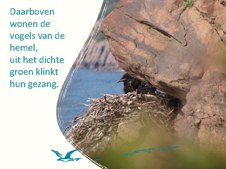 Daarboven wonen de vogels van de hemel, uit het dichte groen klinkt hun gezang.