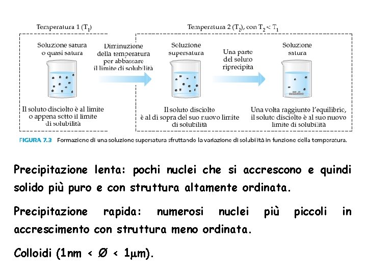 Precipitazione lenta: pochi nuclei che si accrescono e quindi solido più puro e con