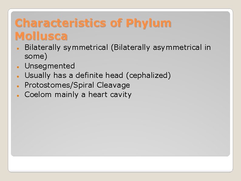 Characteristics of Phylum Mollusca Bilaterally symmetrical (Bilaterally asymmetrical in some) Unsegmented Usually has a