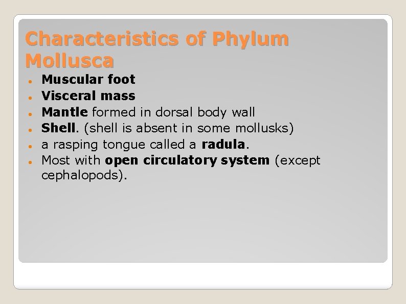Characteristics of Phylum Mollusca Muscular foot Visceral mass Mantle formed in dorsal body wall