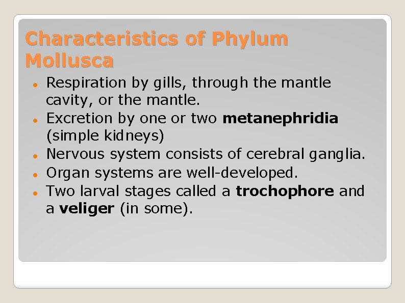 Characteristics of Phylum Mollusca Respiration by gills, through the mantle cavity, or the mantle.