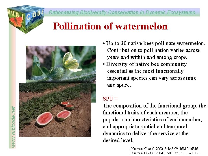 Rationalising Biodiversity Conservation in Dynamic Ecosystems www rubicode