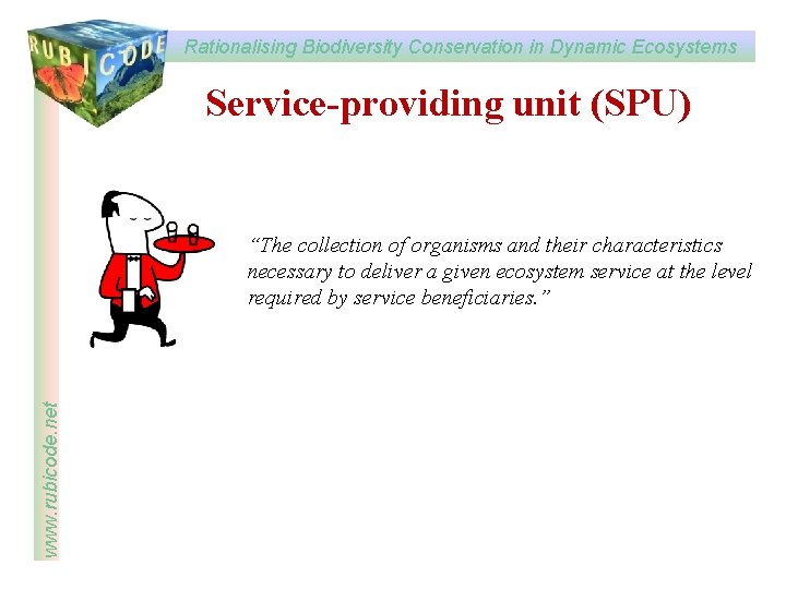 Rationalising Biodiversity Conservation in Dynamic Ecosystems www rubicode