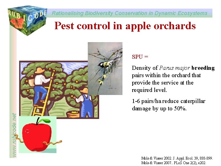 Rationalising Biodiversity Conservation in Dynamic Ecosystems www rubicode