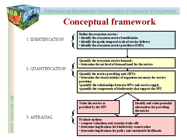 Rationalising Biodiversity Conservation in Dynamic Ecosystems www rubicode
