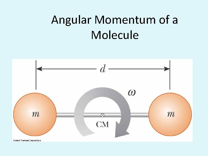 Angular Momentum of a Molecule 