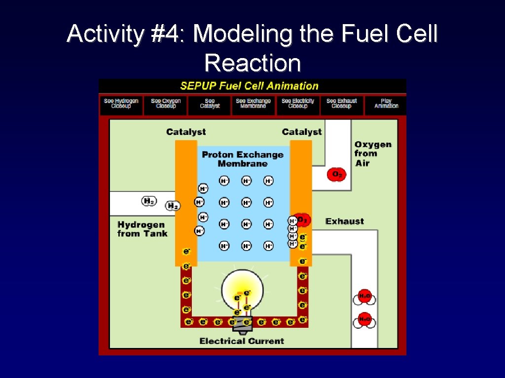 Activity #4: Modeling the Fuel Cell Reaction 
