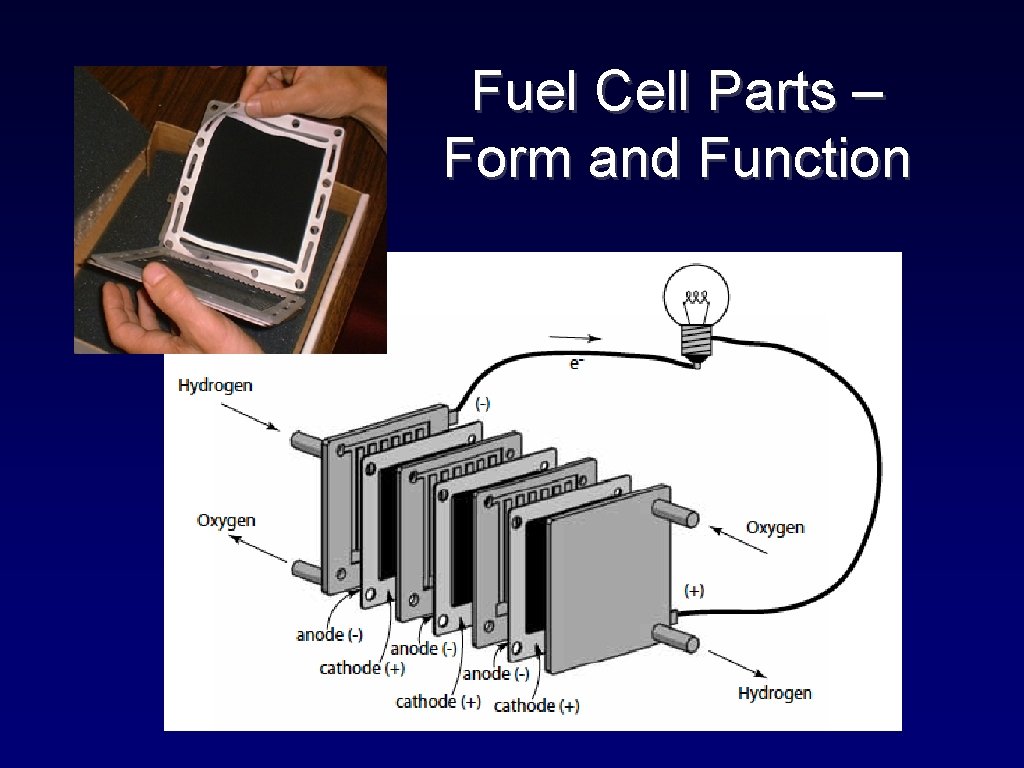 Fuel Cell Parts – Form and Function 