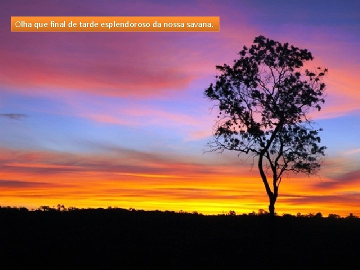 Olha que final de tarde esplendoroso da nossa savana. 