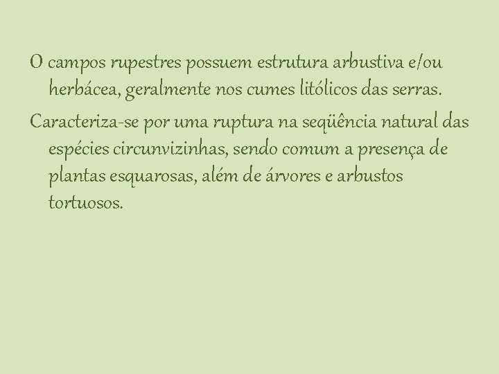 O campos rupestres possuem estrutura arbustiva e/ou herbácea, geralmente nos cumes litólicos das serras.