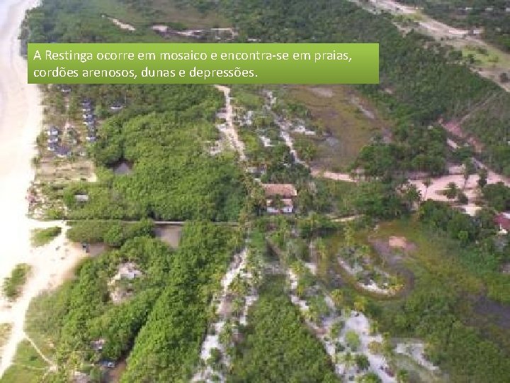 A Restinga ocorre em mosaico e encontra-se em praias, cordões arenosos, dunas e depressões.