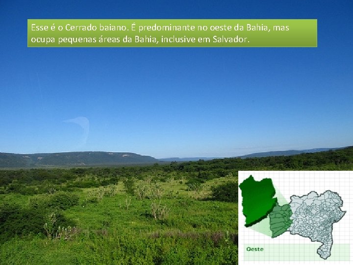 Esse é o Cerrado baiano. É predominante no oeste da Bahia, mas ocupa pequenas