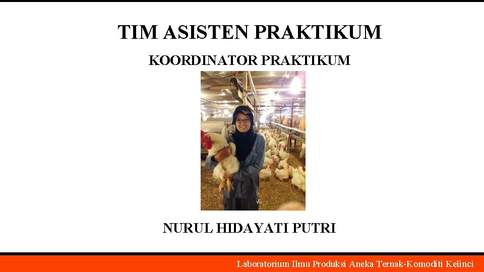 TIM ASISTEN PRAKTIKUM KOORDINATOR PRAKTIKUM NURUL HIDAYATI PUTRI Laboratorium Ilmu Produksi Aneka Ternak-Komoditi Kelinci