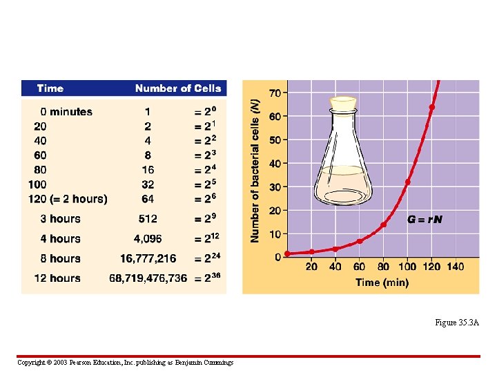 Figure 35. 3 A Copyright © 2003 Pearson Education, Inc. publishing as Benjamin Cummings