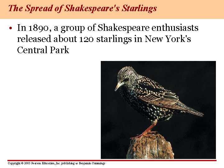 The Spread of Shakespeare's Starlings • In 1890, a group of Shakespeare enthusiasts released