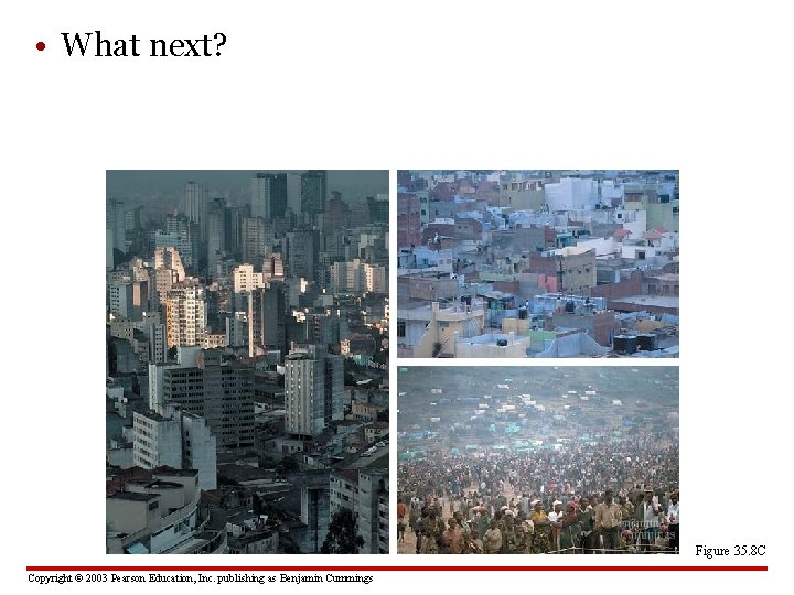  • What next? Figure 35. 8 C Copyright © 2003 Pearson Education, Inc.