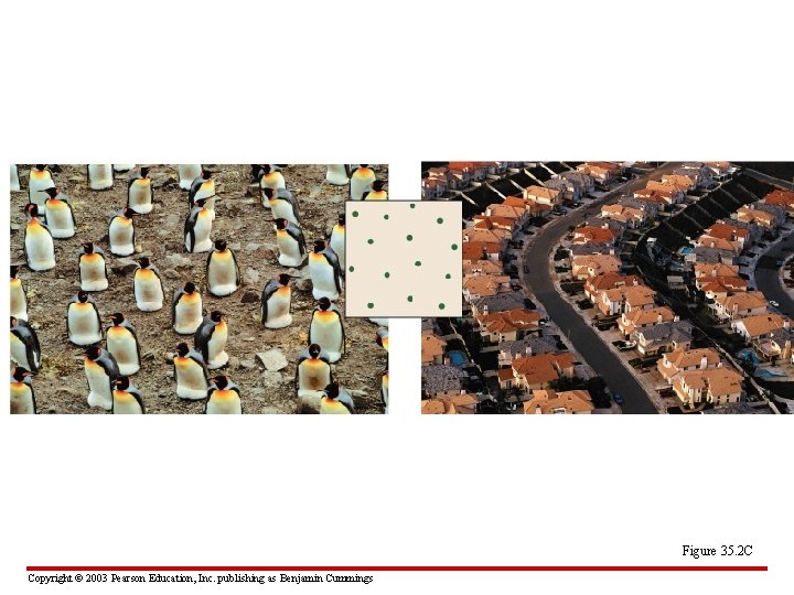 Figure 35. 2 C Copyright © 2003 Pearson Education, Inc. publishing as Benjamin Cummings