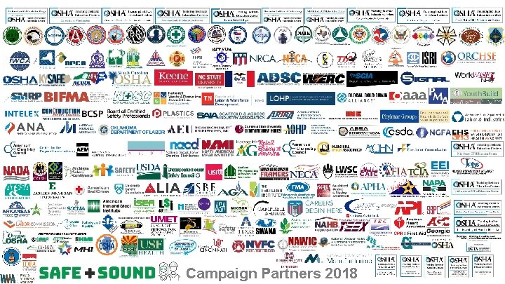 Campaign Partners 2018 