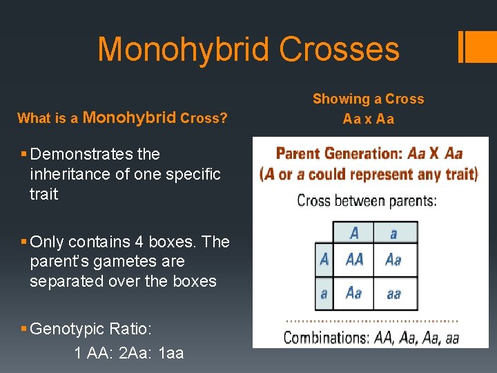 Monohybrid Crosses What is a Monohybrid Cross? § Demonstrates the inheritance of one specific