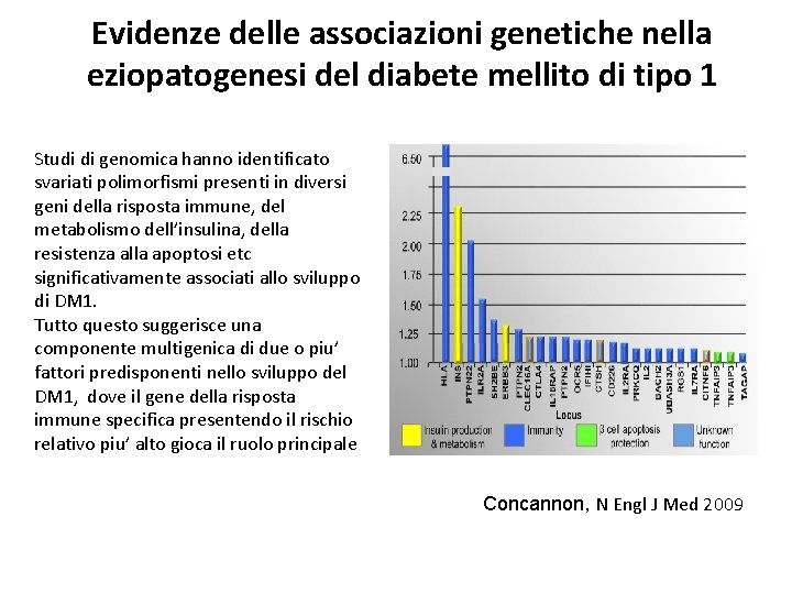 Evidenze delle associazioni genetiche nella eziopatogenesi del diabete mellito di tipo 1 Studi di