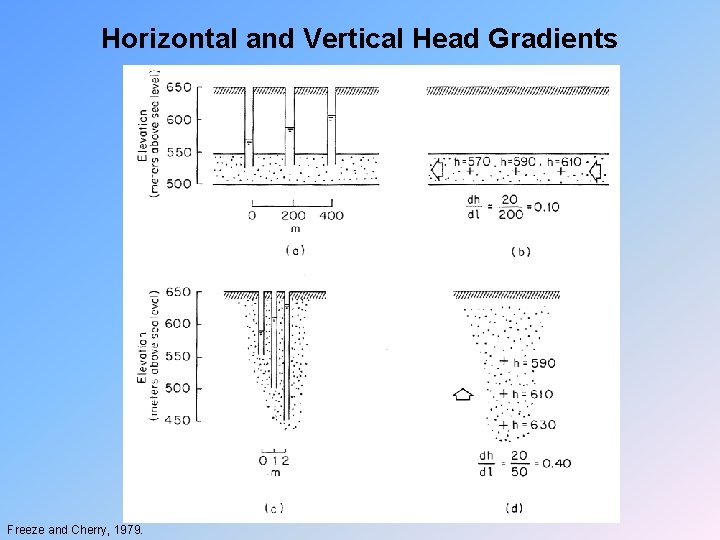 Horizontal and Vertical Head Gradients Freeze and Cherry, 1979. 