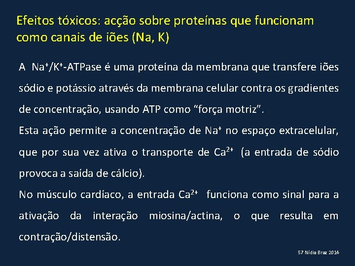 Efeitos tóxicos: acção sobre proteínas que funcionam como canais de iões (Na, K) A