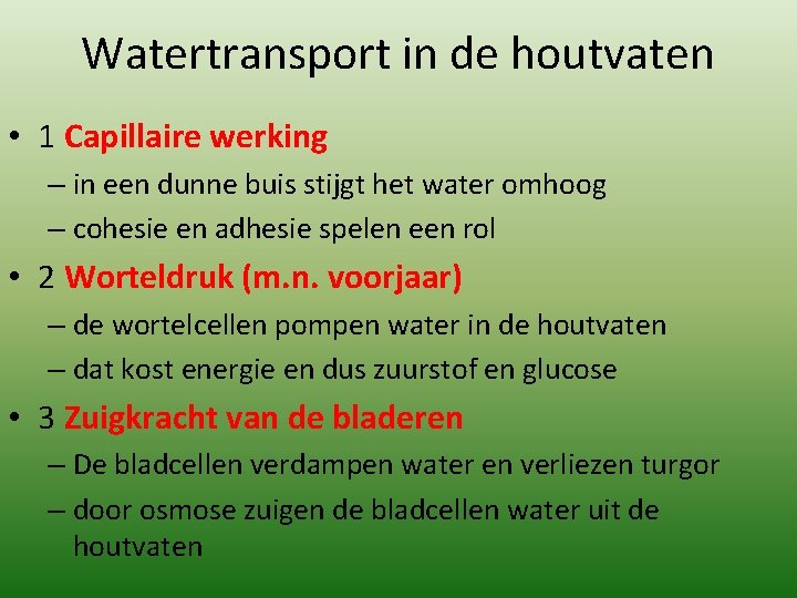 Watertransport in de houtvaten • 1 Capillaire werking – in een dunne buis stijgt