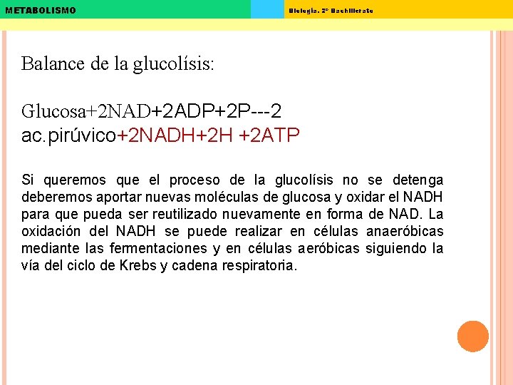 METABOLISMO Biología. 2º Bachillerato Balance de la glucolísis: Glucosa+2 NAD+2 ADP+2 P---2 ac. pirúvico+2