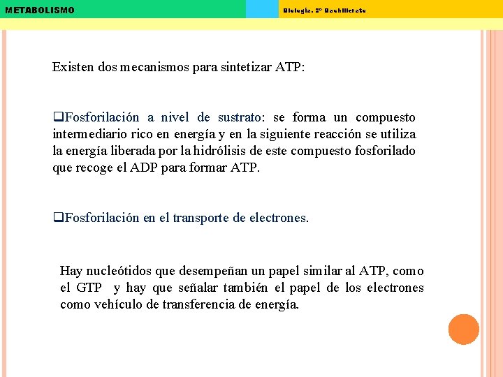 METABOLISMO Biología. 2º Bachillerato Existen dos mecanismos para sintetizar ATP: q. Fosforilación a nivel