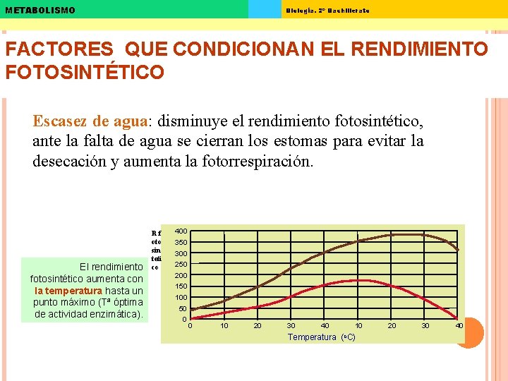 METABOLISMO Biología. 2º Bachillerato FACTORES QUE CONDICIONAN EL RENDIMIENTO FOTOSINTÉTICO Escasez de agua: disminuye