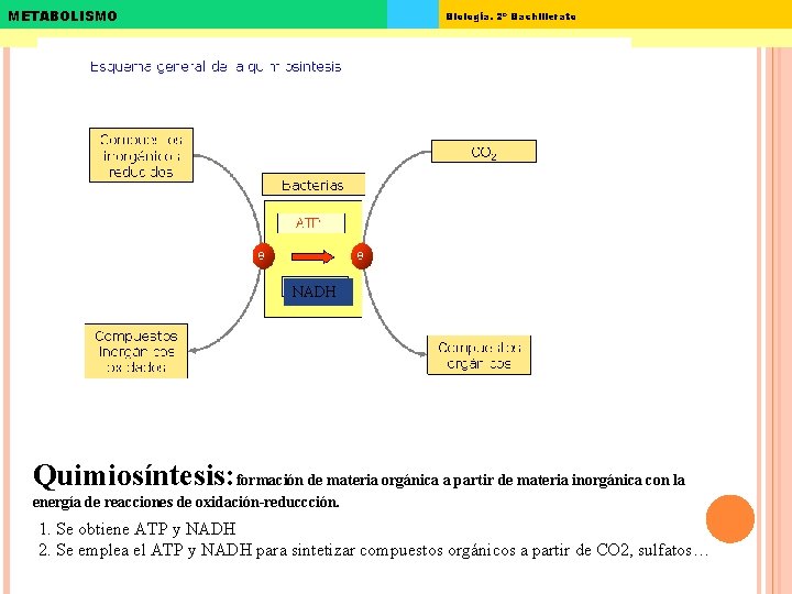 METABOLISMO Biología. 2º Bachillerato NADH Quimiosíntesis: formación de materia orgánica a partir de materia