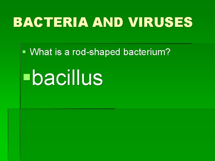 BACTERIA AND VIRUSES § What is a rod-shaped bacterium? §bacillus 
