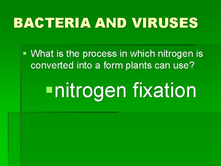BACTERIA AND VIRUSES § What is the process in which nitrogen is converted into