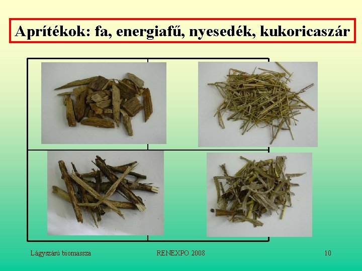 Aprítékok: fa, energiafű, nyesedék, kukoricaszár Lágyszárú biomassza RENEXPO 2008 10 