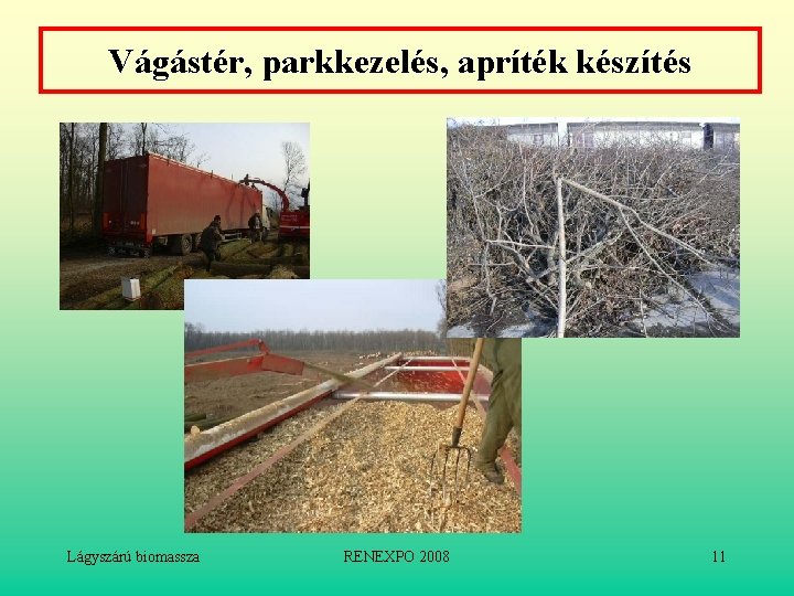 Vágástér, parkkezelés, apríték készítés Lágyszárú biomassza RENEXPO 2008 11 