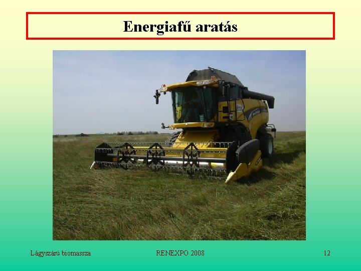Energiafű aratás Lágyszárú biomassza RENEXPO 2008 12 