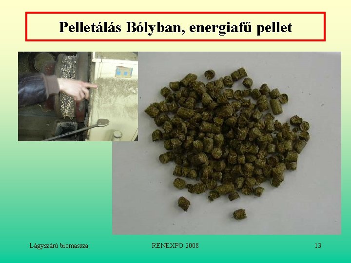 Pelletálás Bólyban, energiafű pellet Lágyszárú biomassza RENEXPO 2008 13 