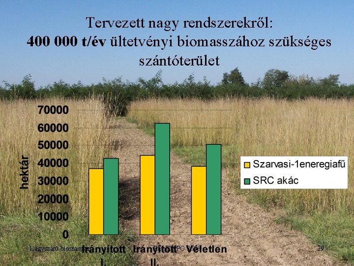 Tervezett nagy rendszerekről: 400 000 t/év ültetvényi biomasszához szükséges szántóterület Lágyszárú biomassza RENEXPO 2008