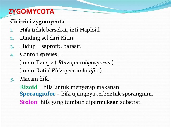 ZYGOMYCOTA Ciri-ciri zygomycota 1. Hifa tidak bersekat, inti Haploid 2. Dinding sel dari Kitin