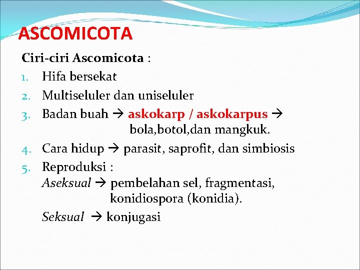 ASCOMICOTA Ciri-ciri Ascomicota : 1. Hifa bersekat 2. Multiseluler dan uniseluler 3. Badan buah