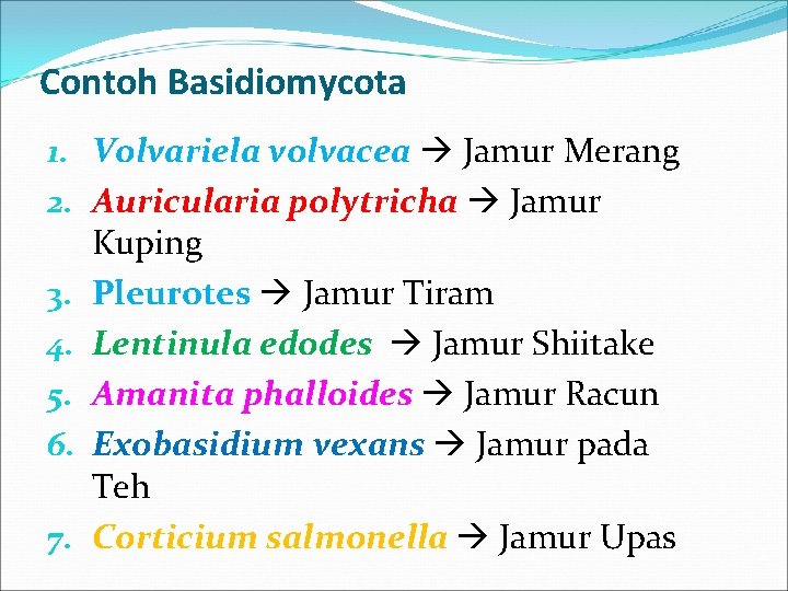 Contoh Basidiomycota 1. Volvariela volvacea Jamur Merang 2. Auricularia polytricha Jamur Kuping 3. Pleurotes