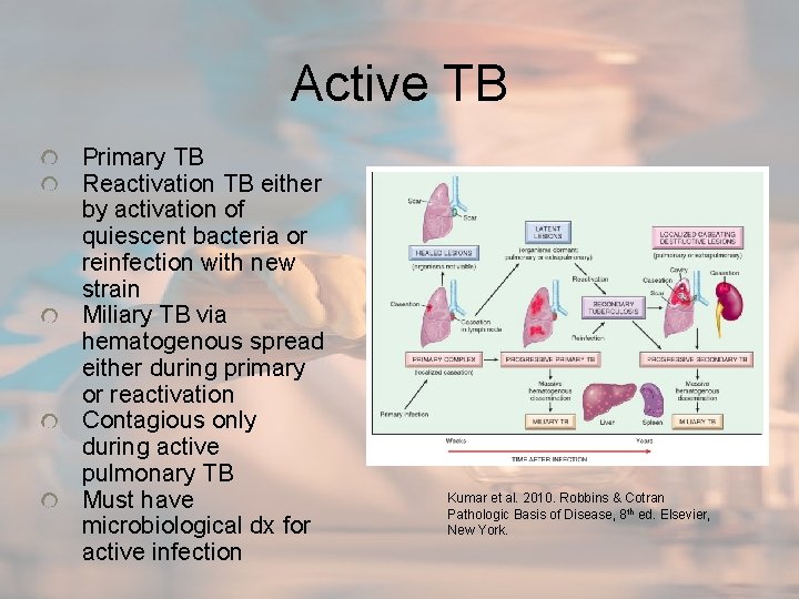 Active TB Primary TB Reactivation TB either by activation of quiescent bacteria or reinfection