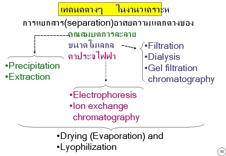 เทคนคตางๆ ในงานวเคราะห การแยกสาร(separation)อาศยความแตกตางของ คณสมบตการละลาย ขนาดโมเลกล • Filtration คาประจไฟฟา • Dialysis • Precipitation • Gel