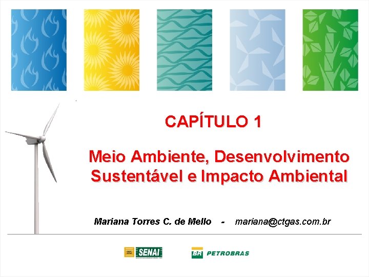 CAPÍTULO 1 Meio Ambiente, Desenvolvimento Sustentável e Impacto Ambiental Mariana Torres C. de Mello